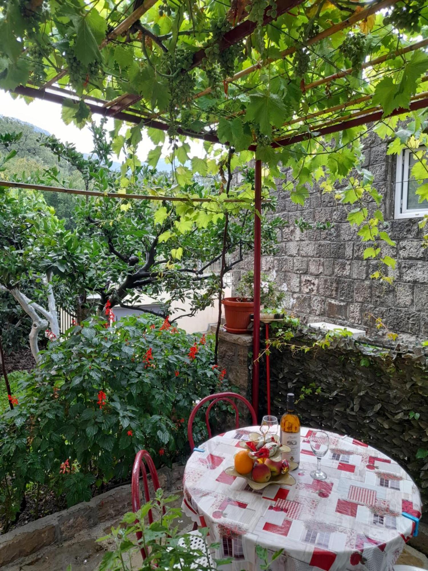 Apartments Kovacevic Petrovac Rom bilde
